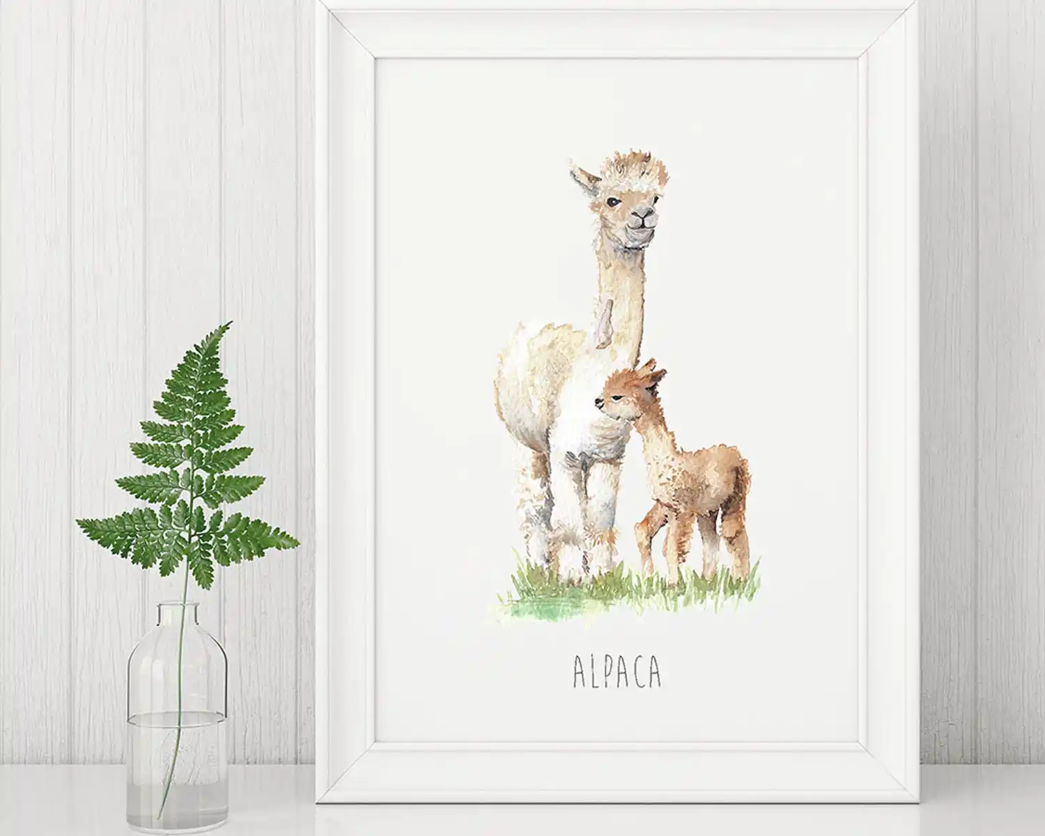 Alpaca Art Print