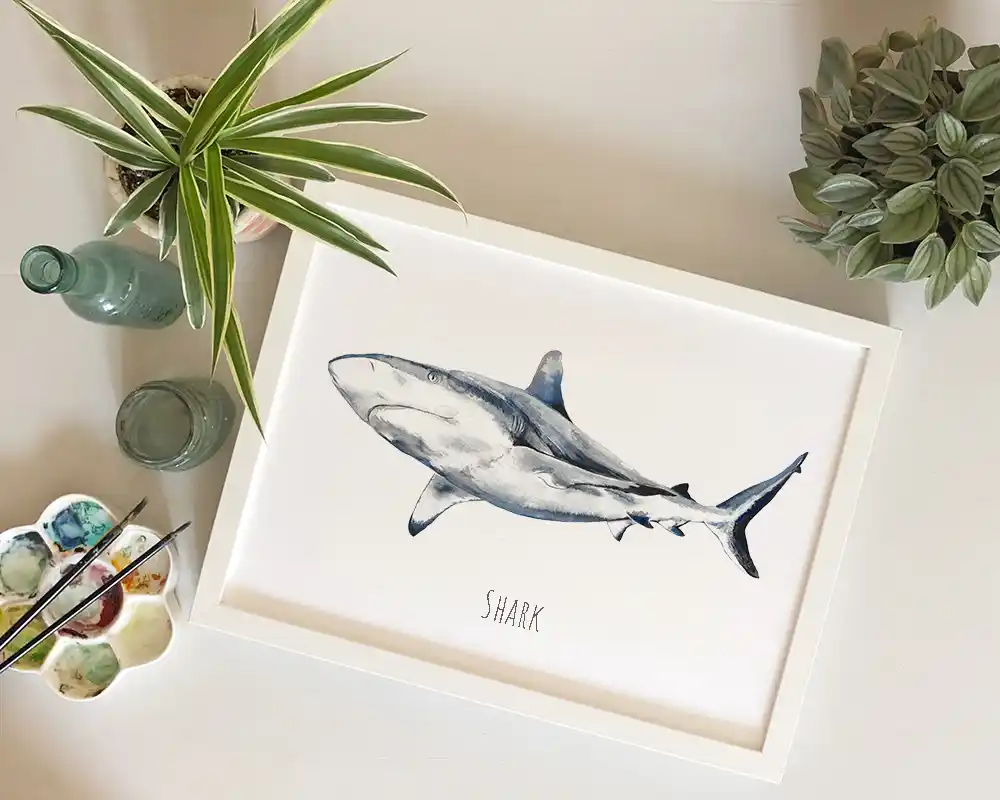 Shark Print