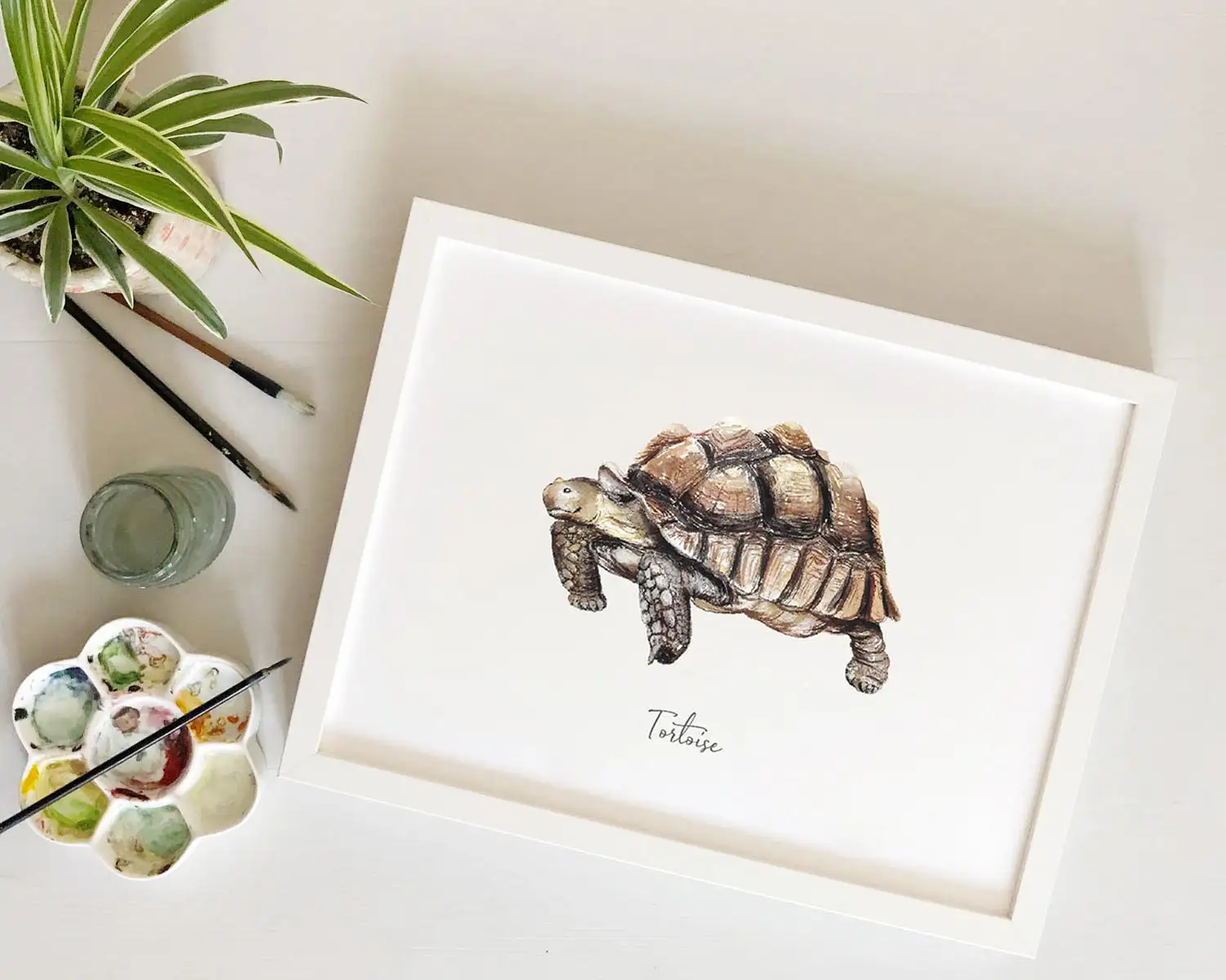 Tortoise Art Print