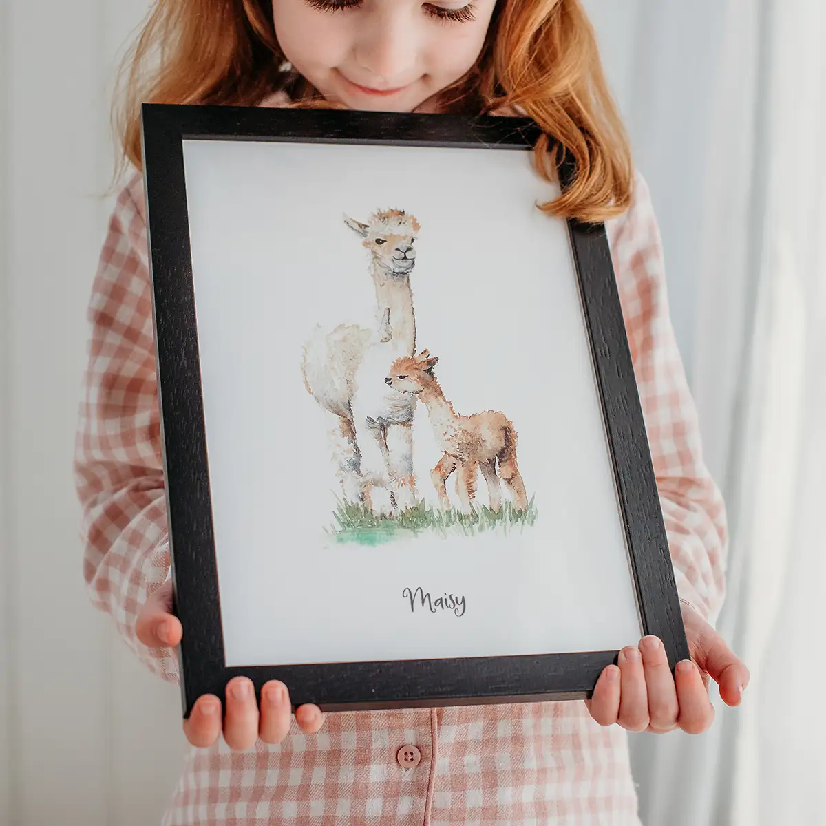 alpaca-handpainted-illustration-art