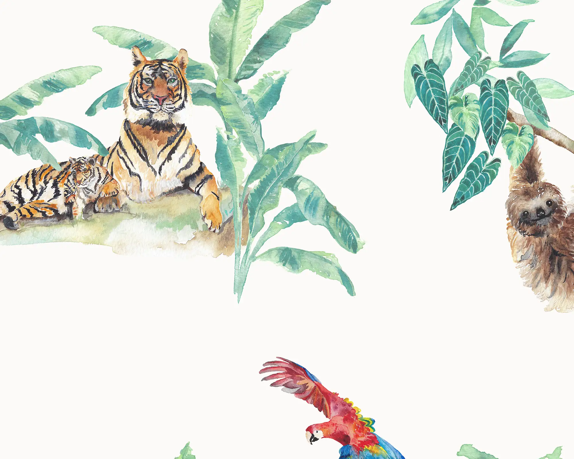 Rainforest Animals Childrens Wallpaper detailed