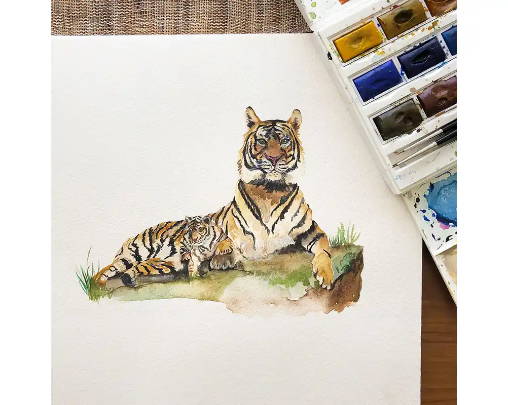 Rainforest Animals Childrens Wallpaper10