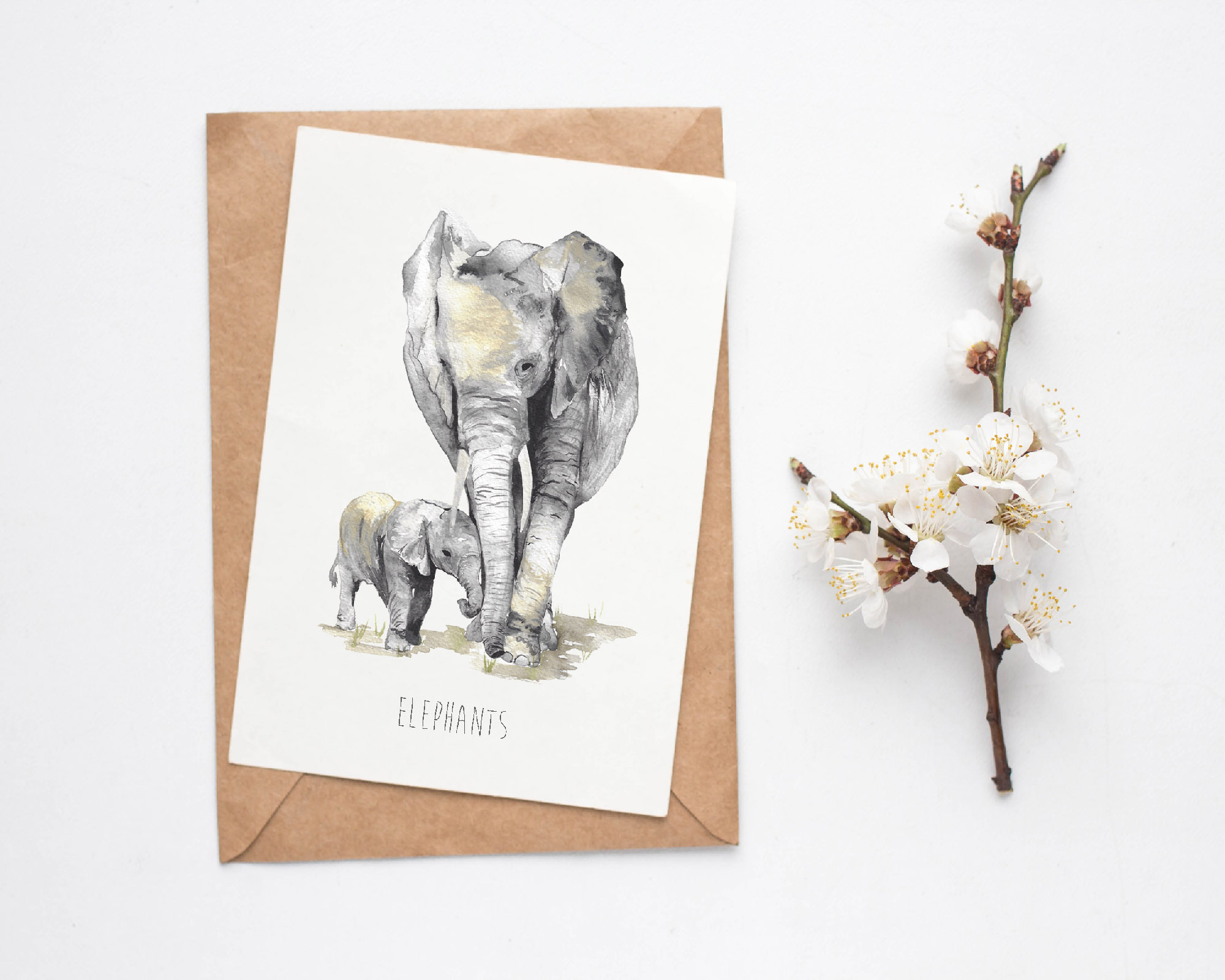 Elephants Card