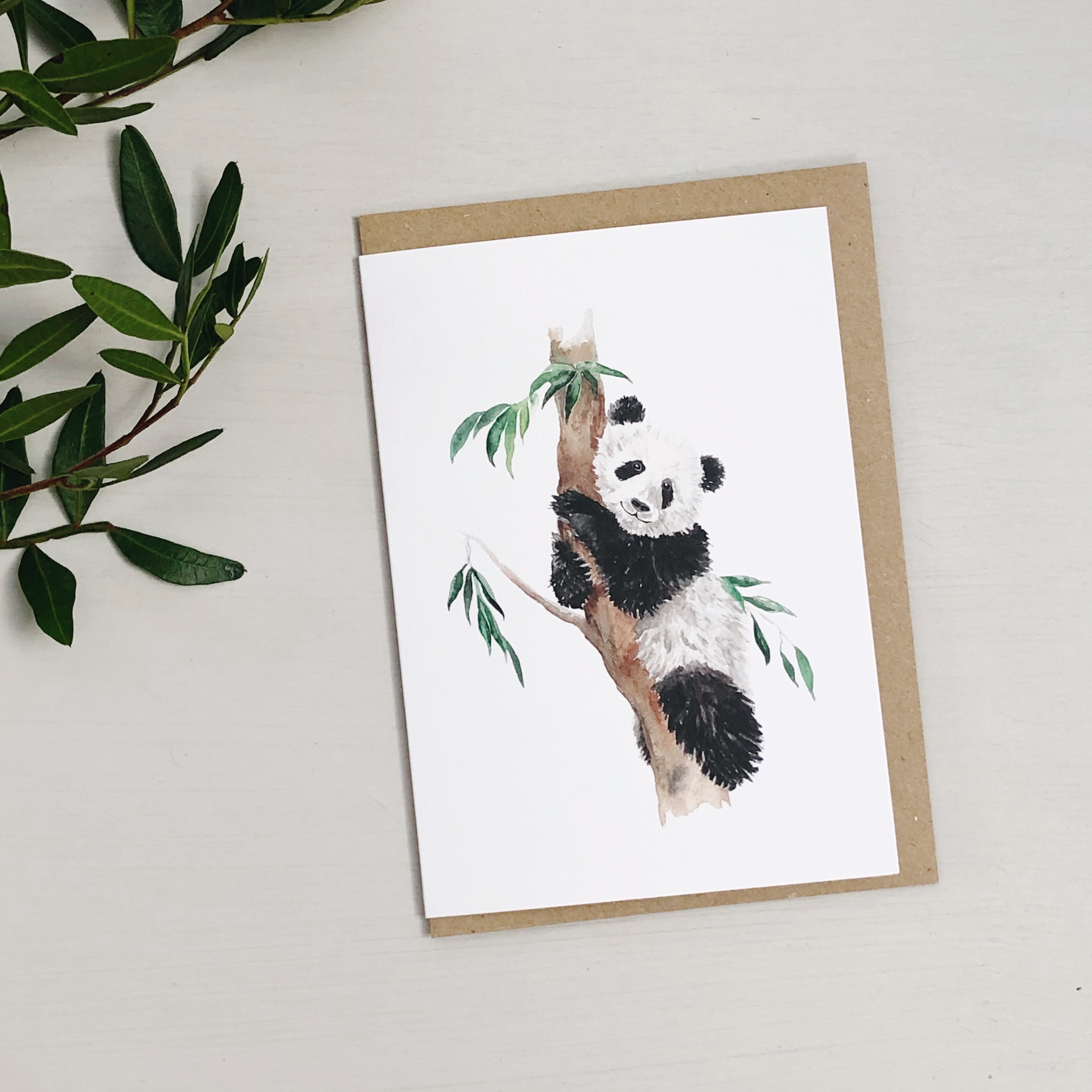 Panda Card